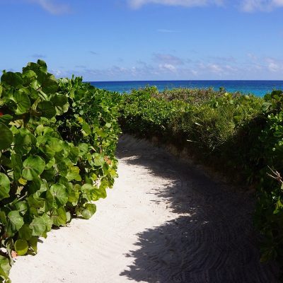 privatweg-vom-bungalow